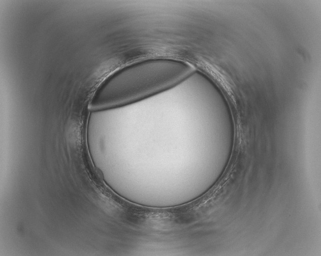 X0000115640105200912011510