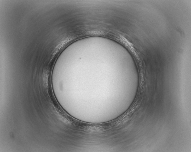 X0000115640106200912011510