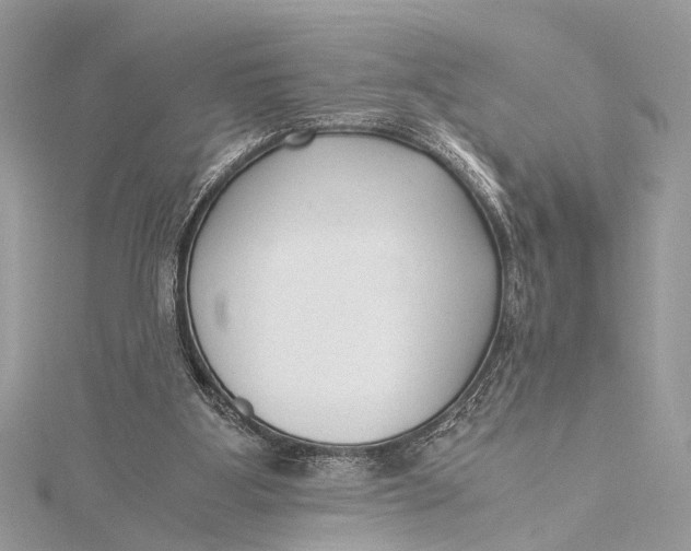 X0000115640107200912011510