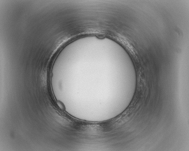 X0000115640108200912011510