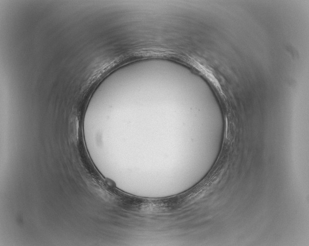 X0000115640109200912011510