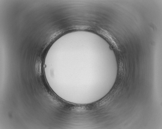 X0000115640110200912011510