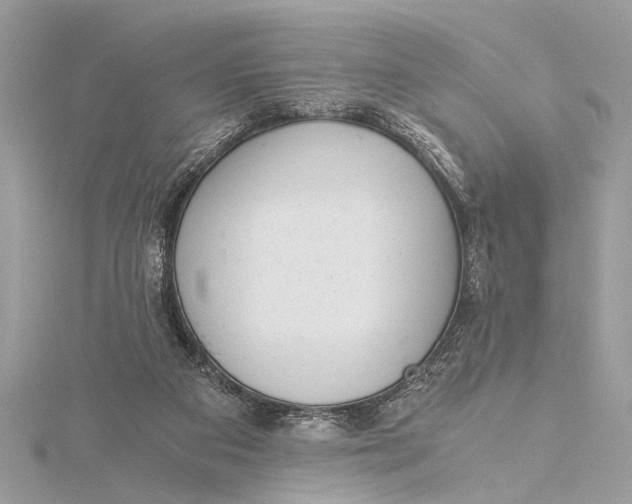 X0000115640113200912011509