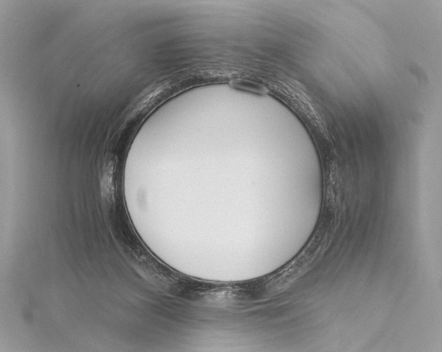 X0000115640116200912011509