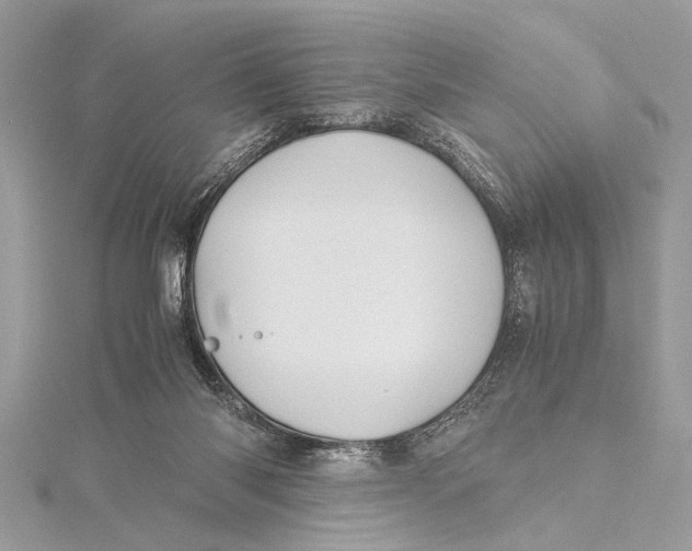 X0000115640118200912011509