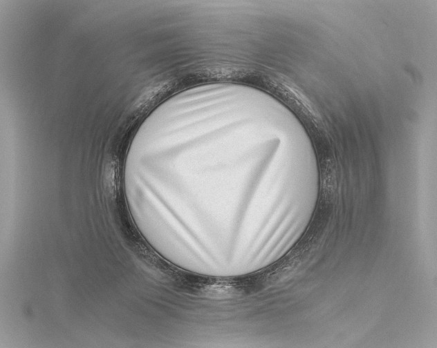 X0000115640119200912011509