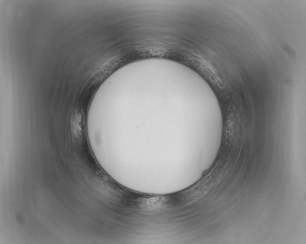 X0000115640122200912011509