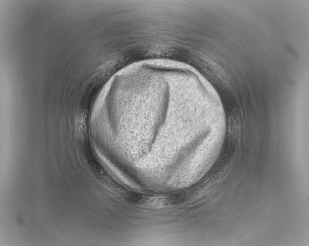 X0000115640127200912011509