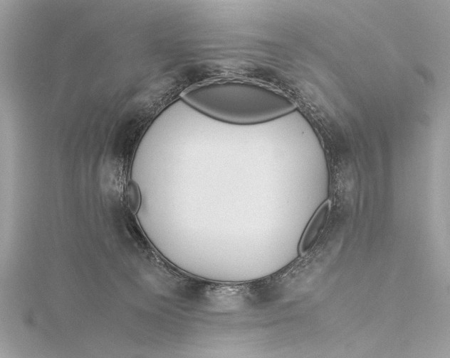 X0000115640129200912011509