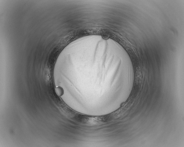 X0000115640130200912011509