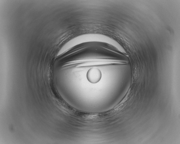 X0000115640132200912011509