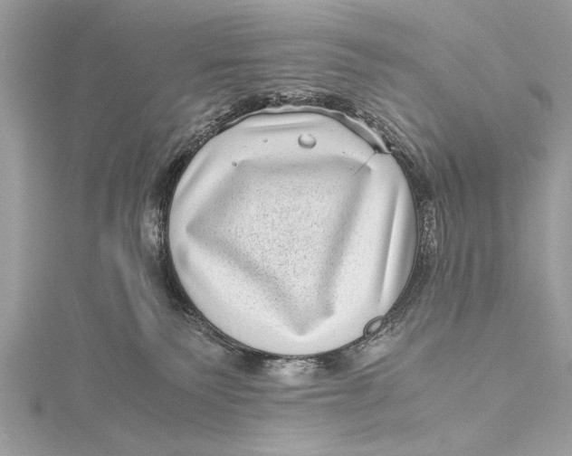 X0000115640135200912011509