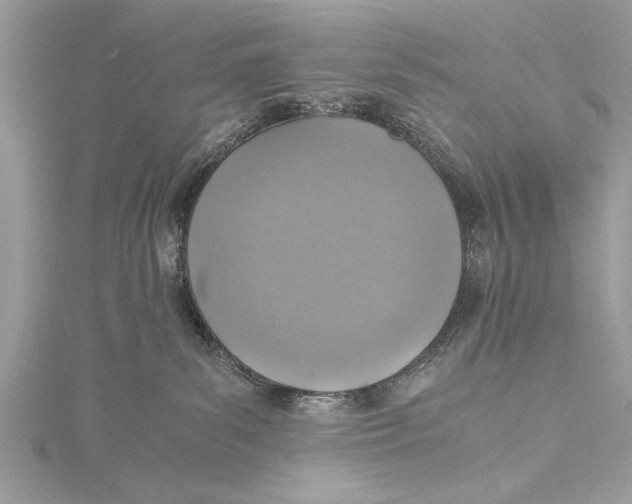 X0000115640139200912011509