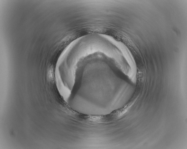 X0000115640143200912011509