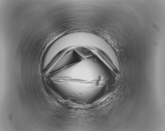 X0000115640146200912011508