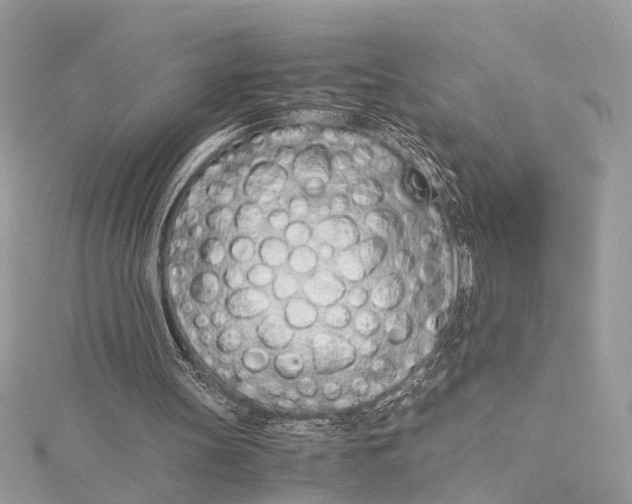 X0000115640147200912011508