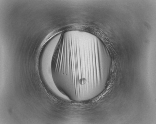 X0000115640150200912011508