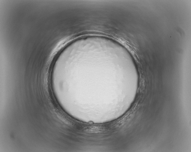 X0000115640151200912011508