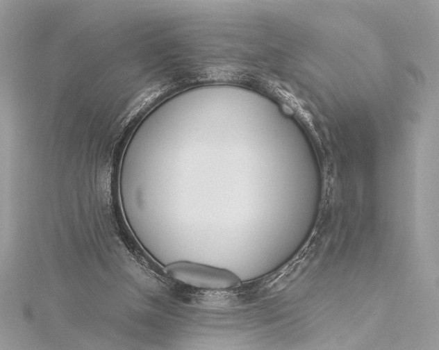 X0000115640154200912011508