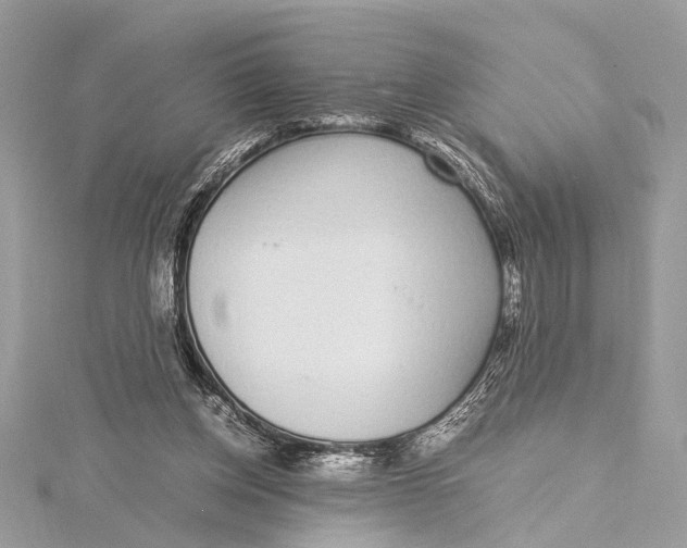 X0000115640158200912011508