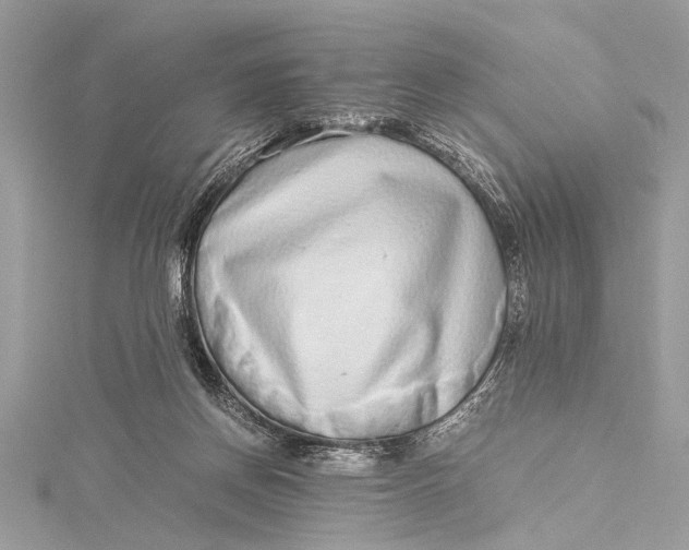 X0000115640166200912011509
