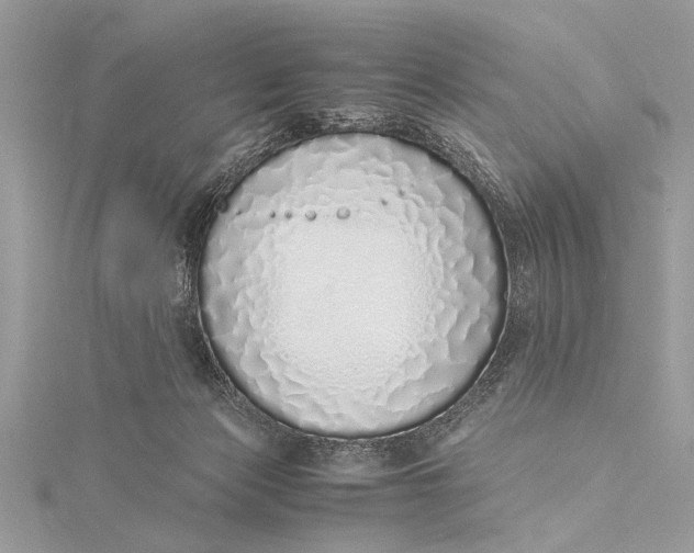X0000115640173200912011509