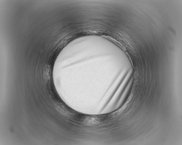 X0000115640174200912011509
