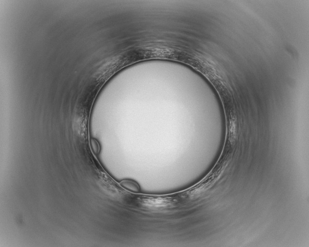 X0000115640177200912011509