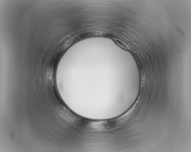 X0000115640178200912011509