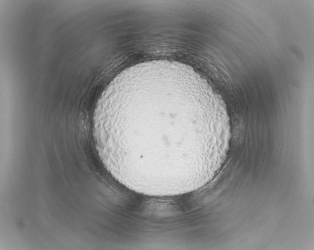 X0000115640179200912011509