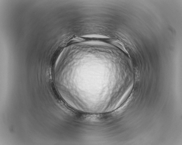 X0000115640182200912011509
