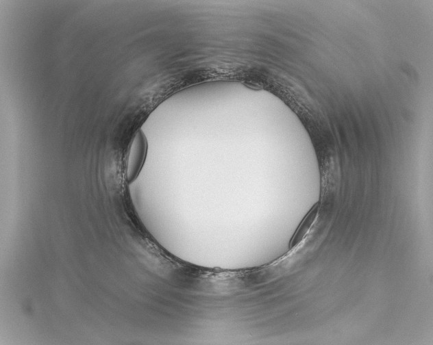 X0000115640186200912011509