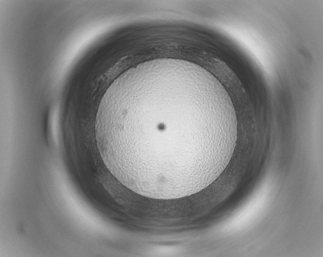 X0000115640189200912011509
