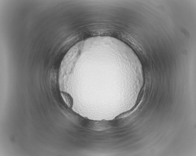 X0000115640191200912011509