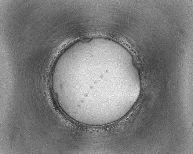 X0000115640193200912011508