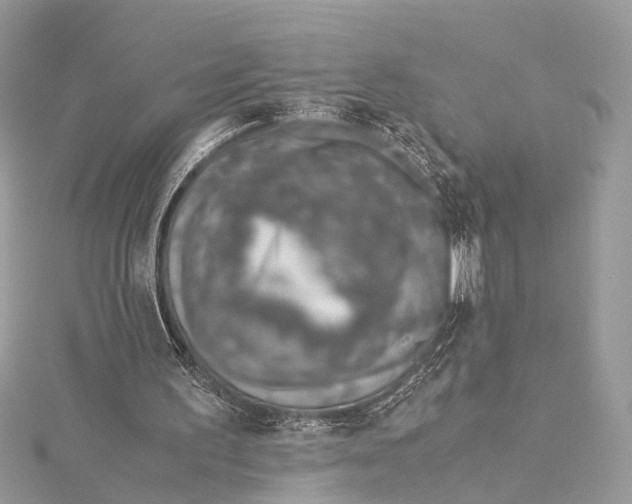 X0000115640195200912011508