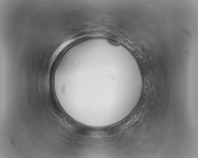 X0000115640200200912011508