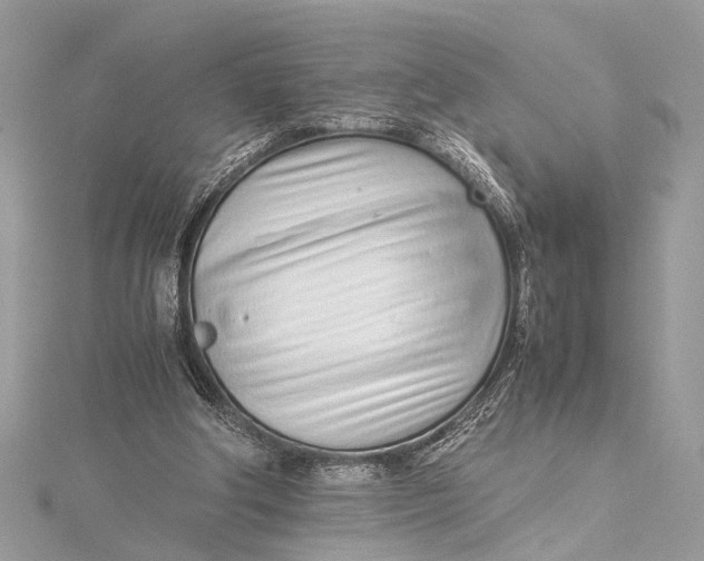 X0000115640202200912011508