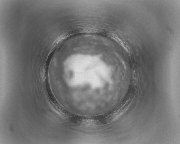 X0000115640203200912011508