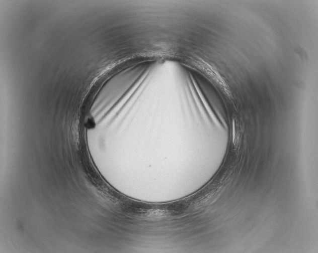 X0000115640204200912011508