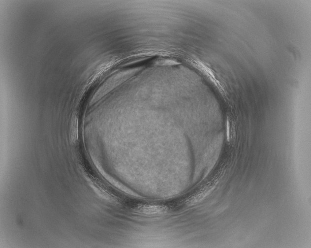 X0000115640205200912011508