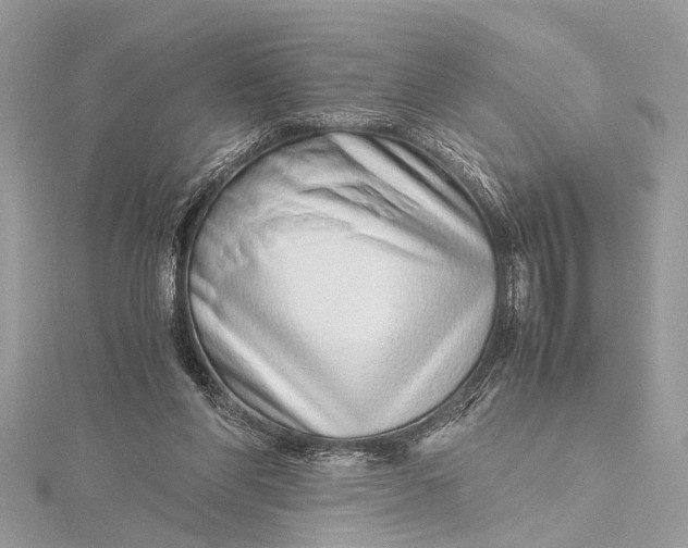 X0000115640206200912011508