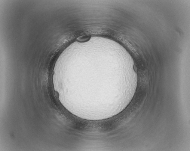 X0000115640207200912011508