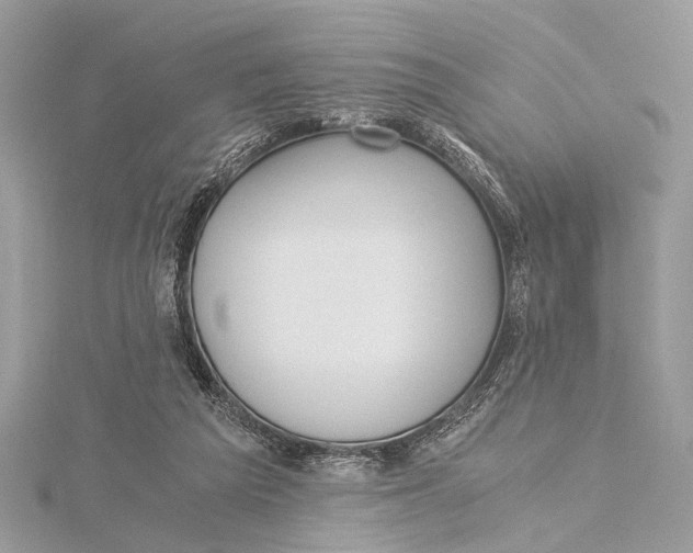 X0000115640209200912011508