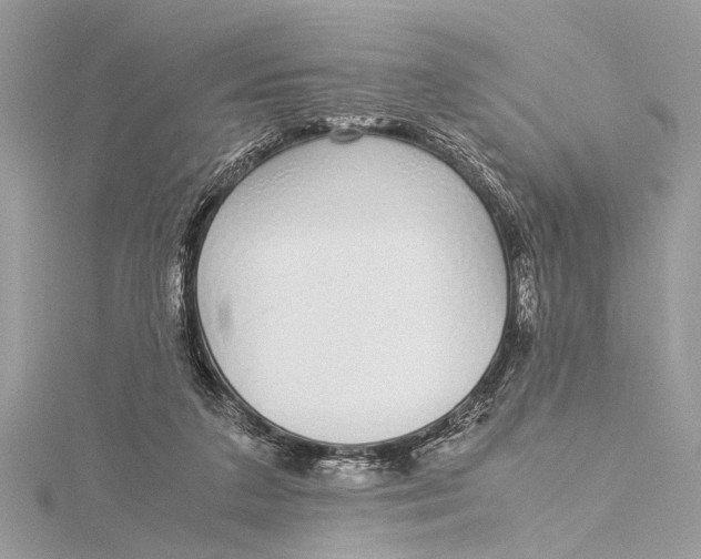 X0000115640211200912011508