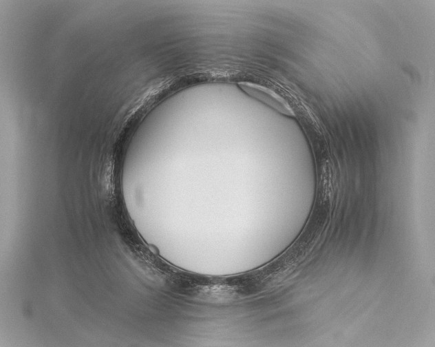 X0000115640212200912011508