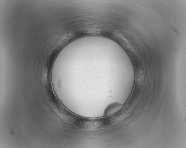 X0000115640213200912011508