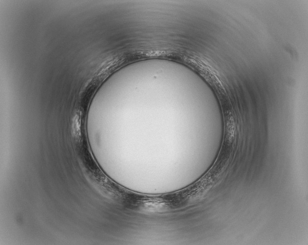 X0000115640214200912011508