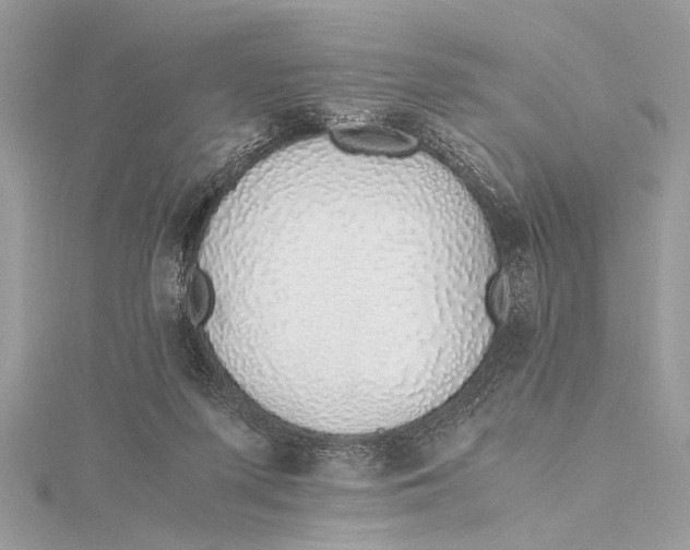 X0000115640215200912011508