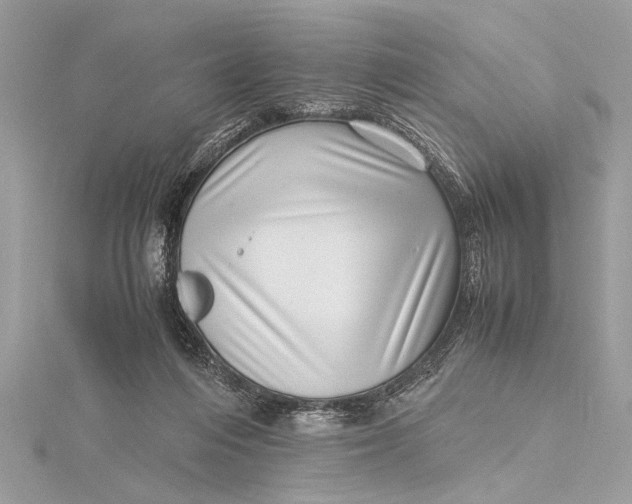 X0000115640216200912011508